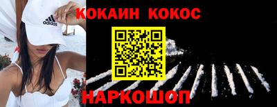 шишки Кингисепп