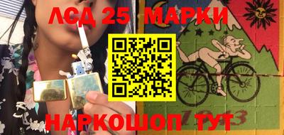 шишки Кингисепп