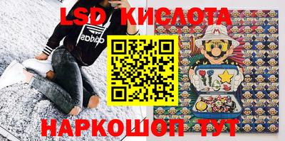 шишки Кингисепп