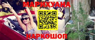шишки Кингисепп