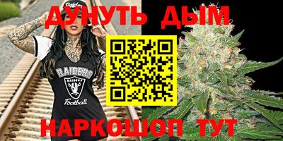 шишки Кингисепп