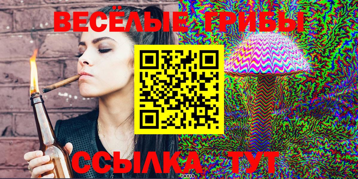 Псилоцибиновые грибы GOLDEN TEACHER Корсаков