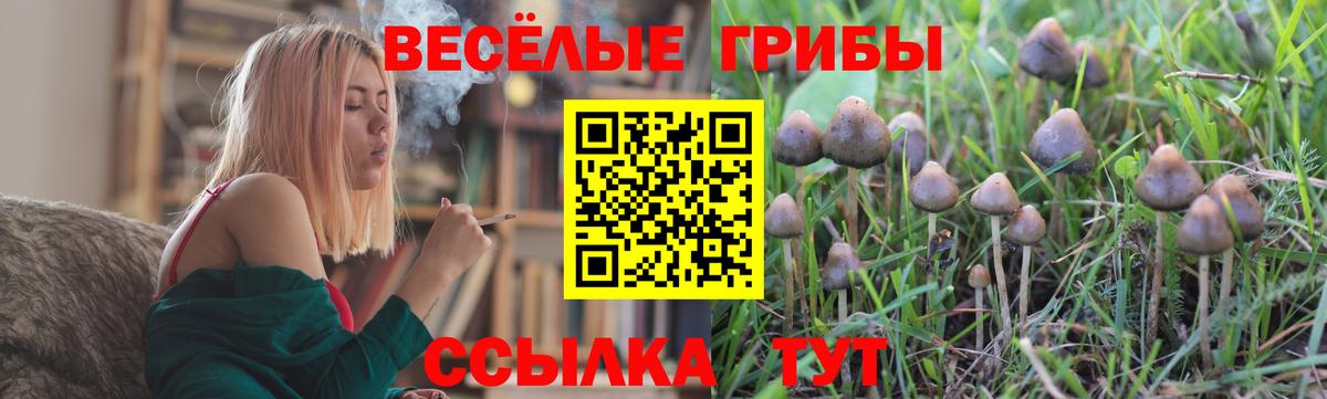 Корсаков  Псилоцибиновые грибы мухоморы  Псилоцибиновые грибы Magic Shrooms  Вход с VPN 